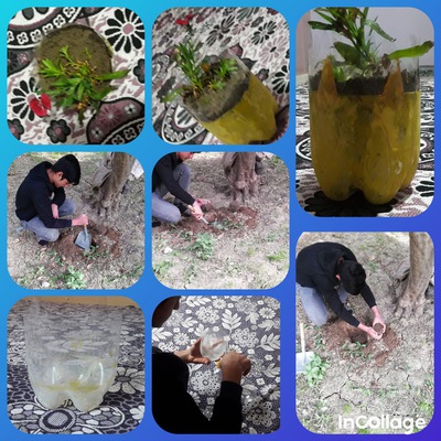 KENDİNİ SEV ÇEVRENİ KORU by HANİFE ÇEKMEZ - Ourboox.com