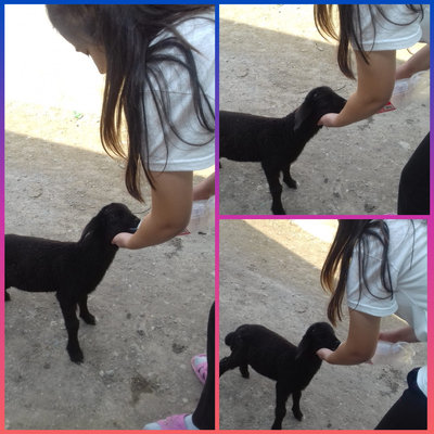 KENDİNİ SEV ÇEVRENİ KORU by HANİFE ÇEKMEZ - Ourboox.com