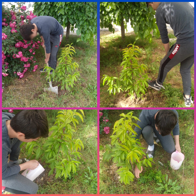 KENDİNİ SEV ÇEVRENİ KORU by HANİFE ÇEKMEZ - Ourboox.com