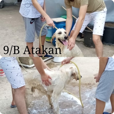 KENDİNİ SEV ÇEVRENİ KORU by HANİFE ÇEKMEZ - Ourboox.com