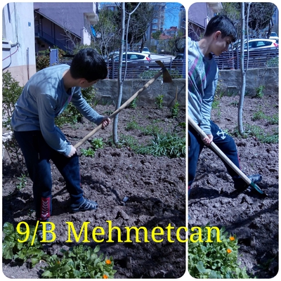 KENDİNİ SEV ÇEVRENİ KORU by HANİFE ÇEKMEZ - Ourboox.com