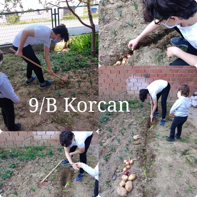 KENDİNİ SEV ÇEVRENİ KORU by HANİFE ÇEKMEZ - Ourboox.com