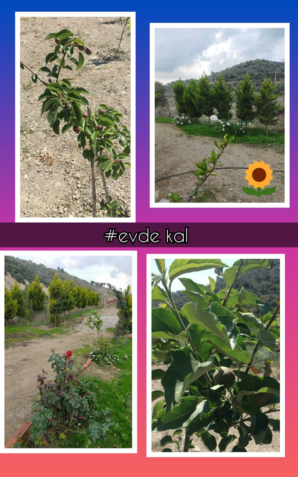 KENDİNİ SEV ÇEVRENİ KORU by HANİFE ÇEKMEZ - Ourboox.com