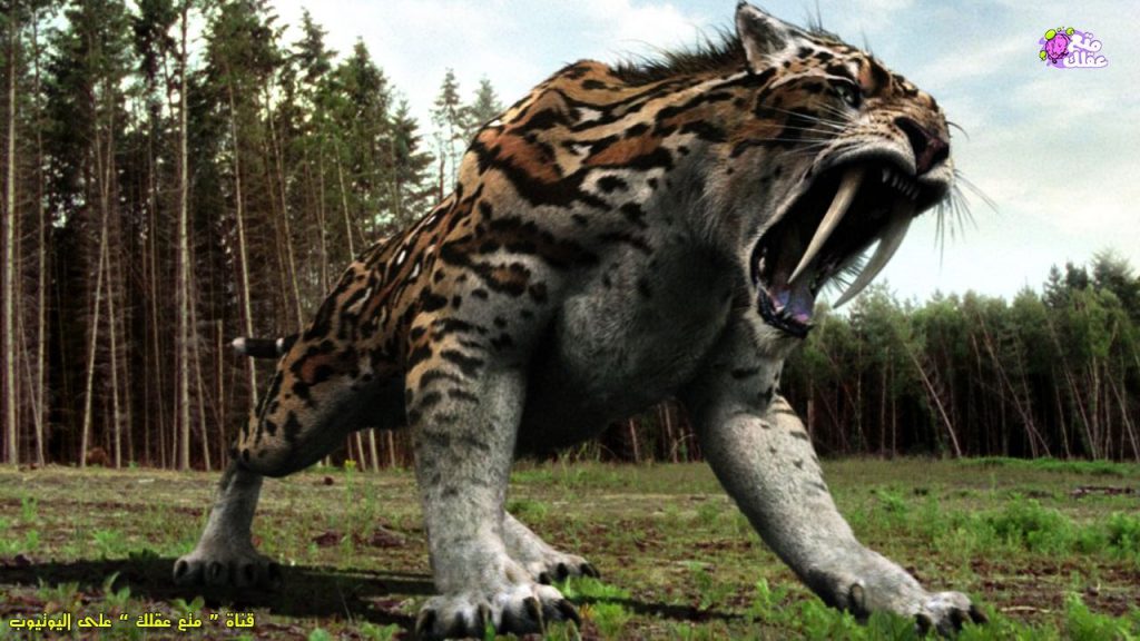 الحيوانات المنقرضة by mishel abushkara - Ourboox.com