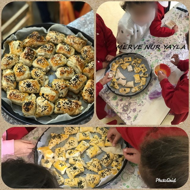 WALDORF İLE DOĞAYA DÖNÜŞ by gülçin - Illustrated by GÜLÇİN ŞAHİN - Ourboox.com