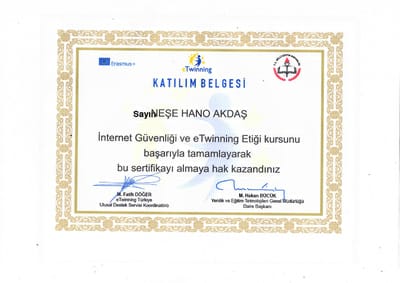 SANAT İLE İÇ İÇE EĞLENCE PROJESİ by serpil - Illustrated by SERPİL AYDIN - Ourboox.com