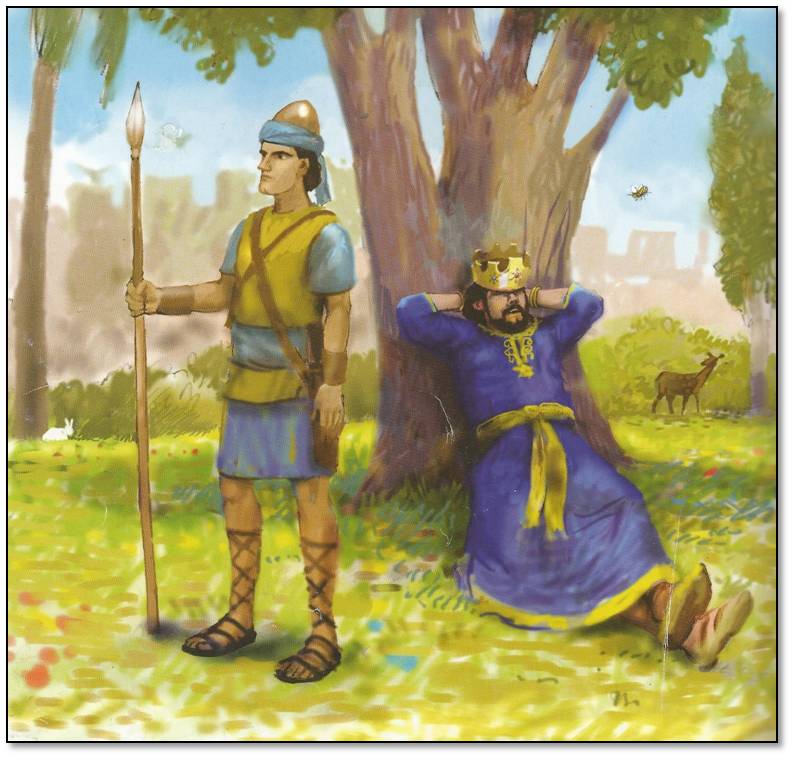 שלמה המלך והדבורה by עדינה איצקוביץ - Ourboox.com