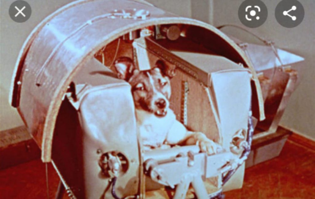 tesina 3D by giuseppe - Illustrated by Giuseppe Potorac - Ourboox.com