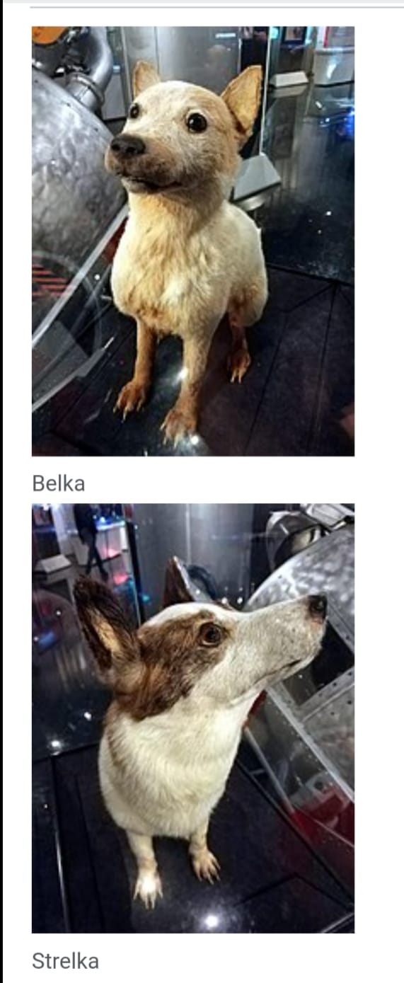 tesina 3D by giuseppe - Illustrated by Giuseppe Potorac - Ourboox.com