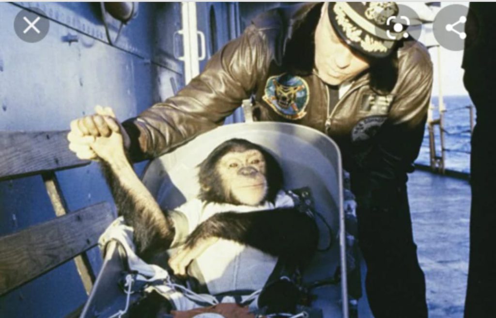 tesina 3D by giuseppe - Illustrated by Giuseppe Potorac - Ourboox.com