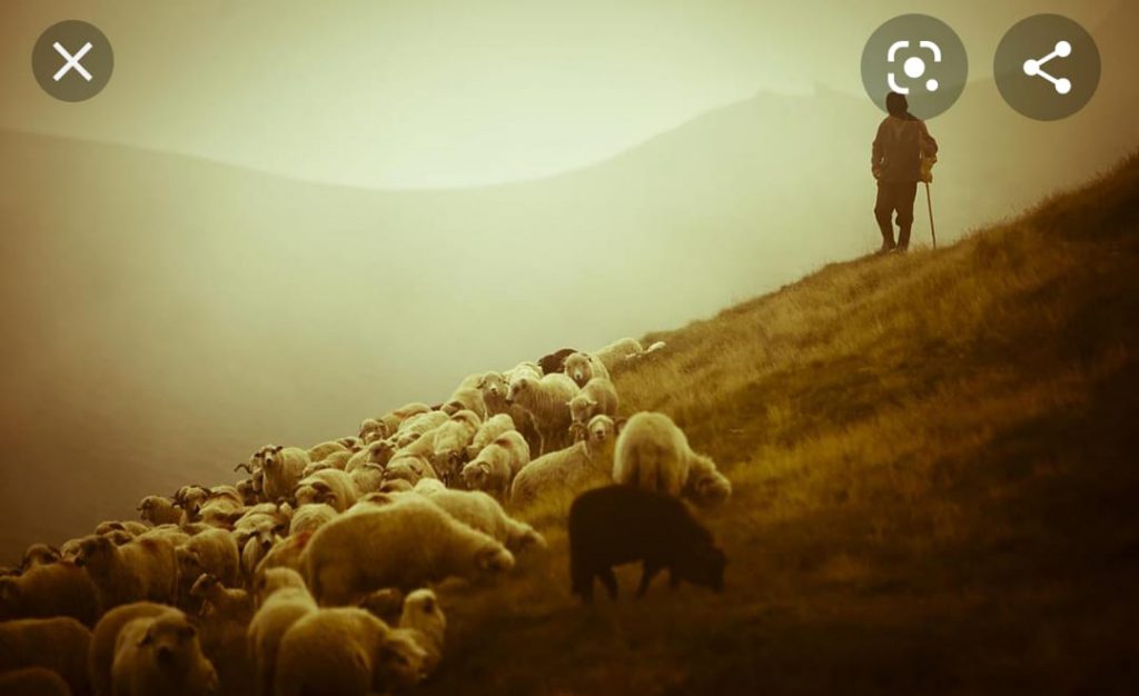 tesina 3D by giuseppe - Illustrated by Giuseppe Potorac - Ourboox.com