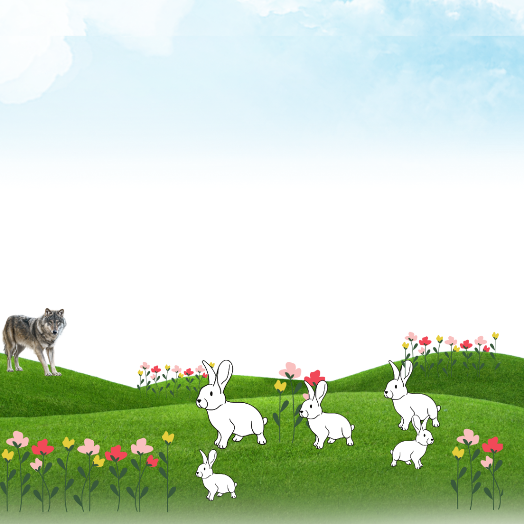 The rabbit in the hair by lior azut - Ourboox.com