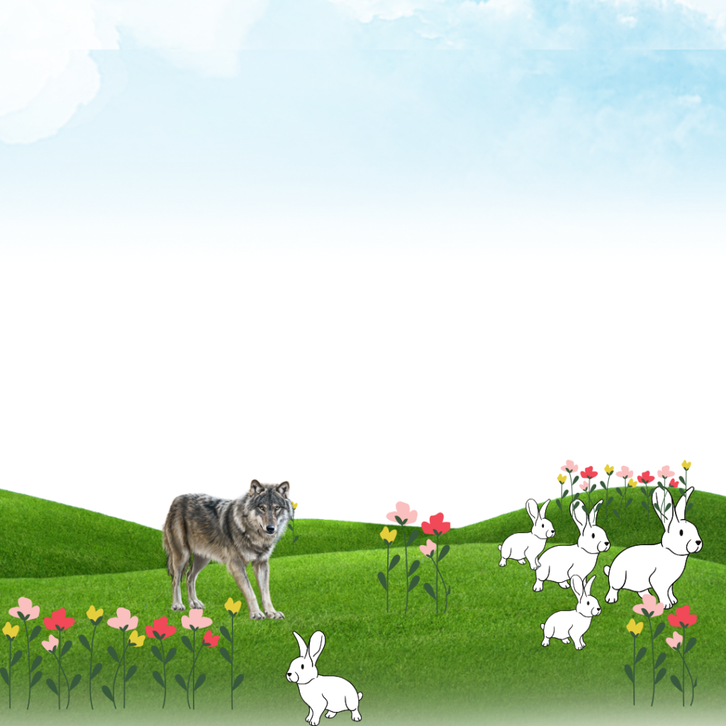 The rabbit in the hair by lior azut - Ourboox.com