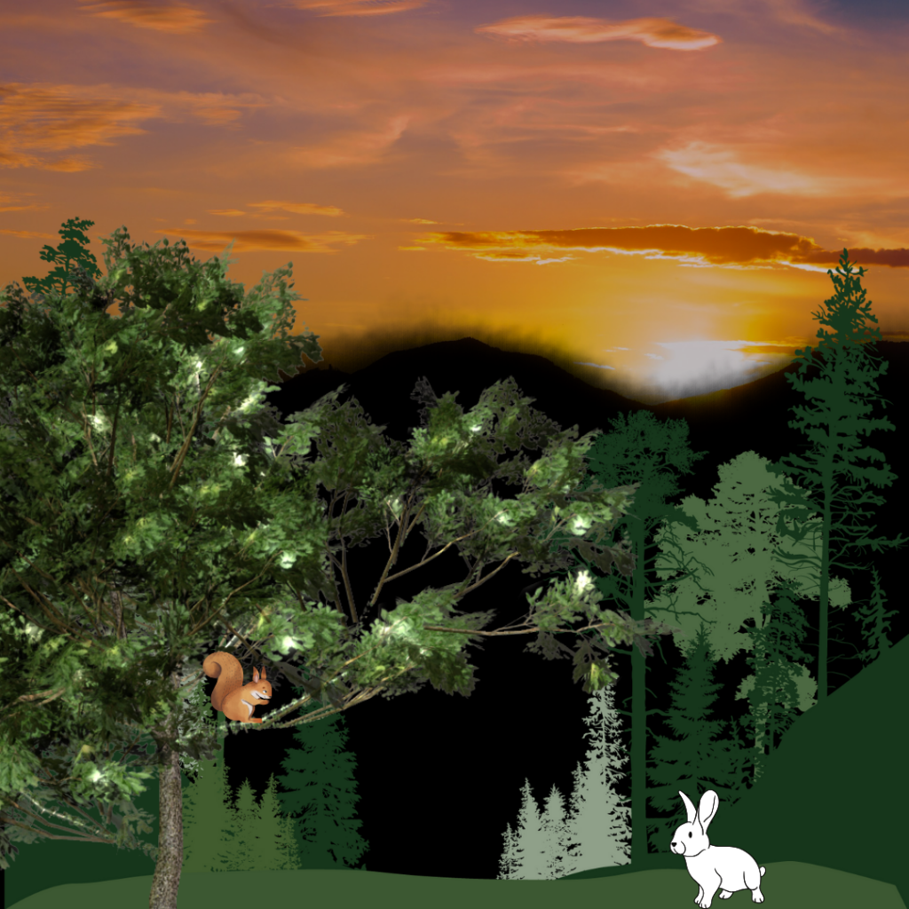 The rabbit in the hair by lior azut - Ourboox.com