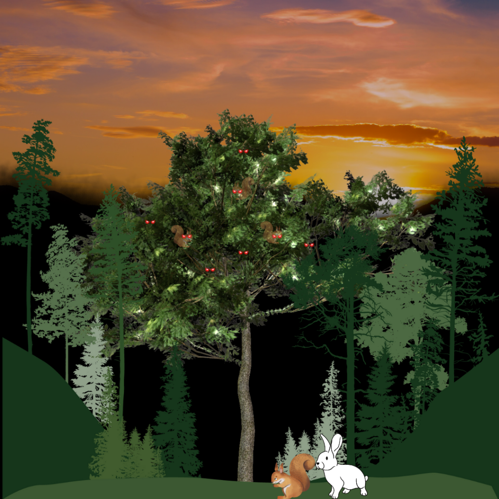 The rabbit in the hair by lior azut - Ourboox.com