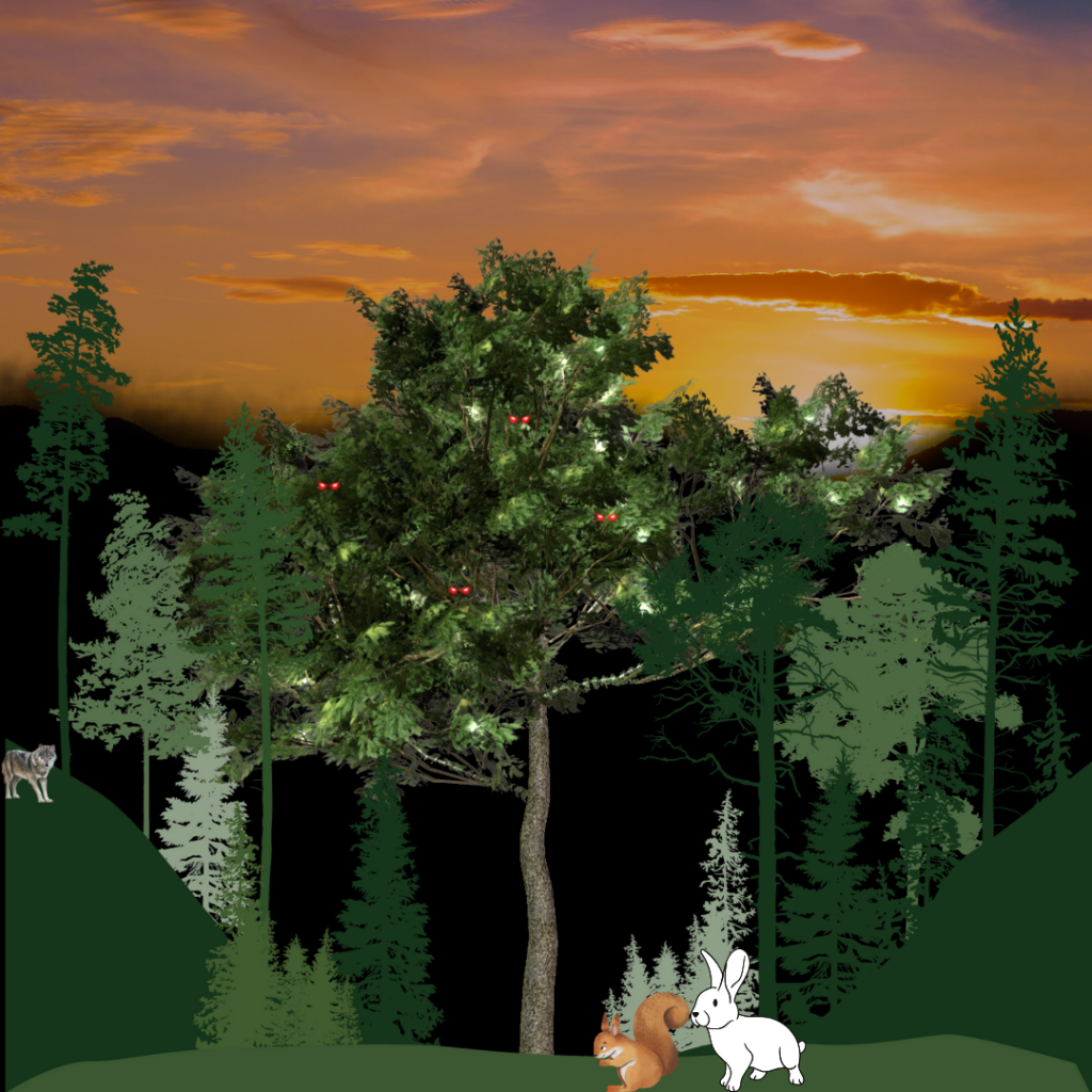 The rabbit in the hair by lior azut - Ourboox.com