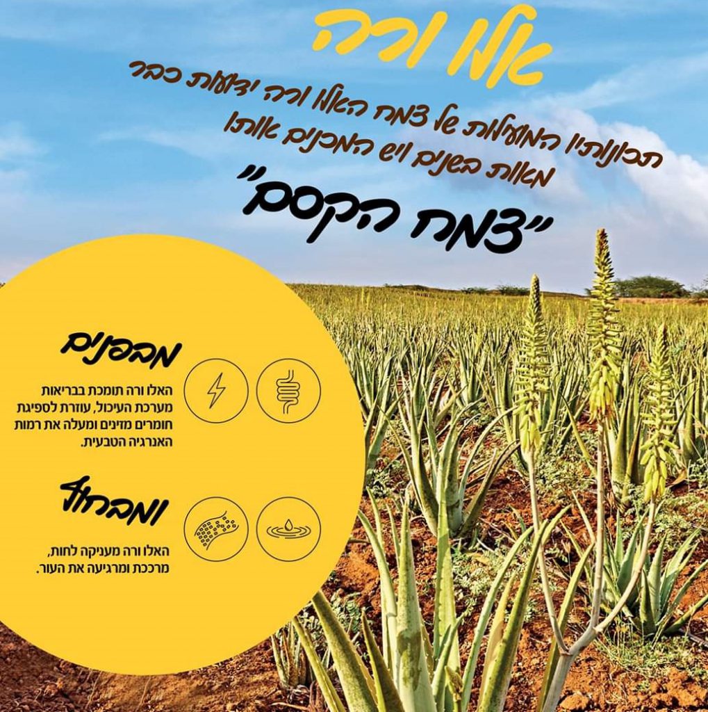 FOREVER לחיים בריאים ויפים יותר by yoni - Ourboox.com