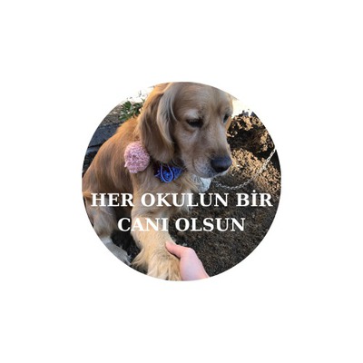 HER OKULUN BİR CANI OLSUN by fatiye - Ourboox.com