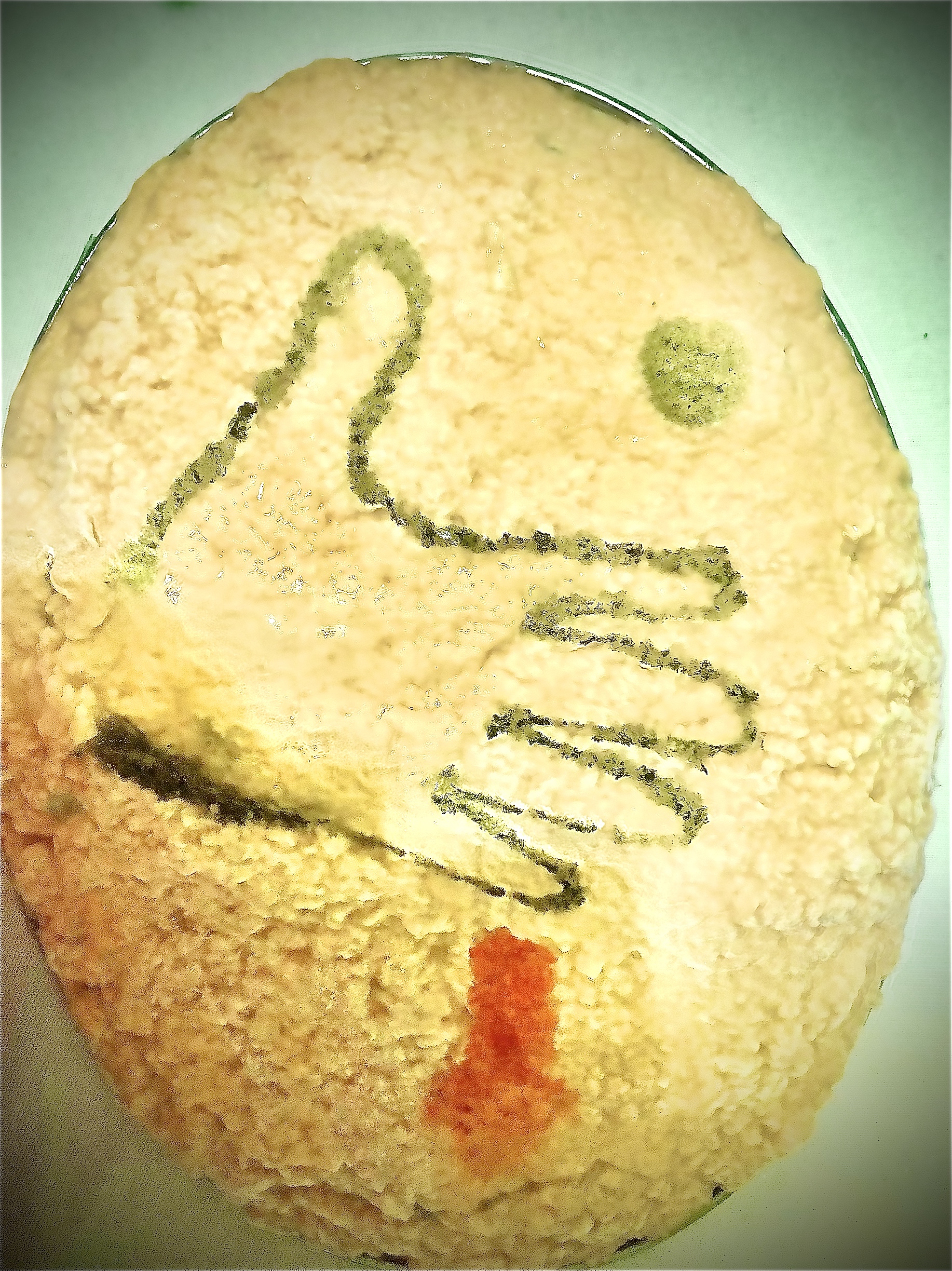 Recikliramo by nedzmija - Ourboox.com