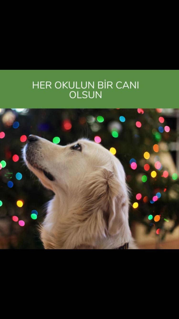HER OKULUN BİR CANI OLSUN by fatiye - Ourboox.com