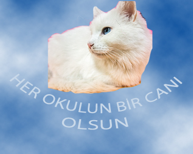 HER OKULUN BİR CANI OLSUN by fatiye - Ourboox.com