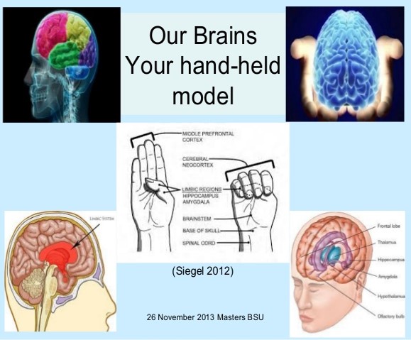 שנת תש”פ- תהא שנת פרופורציות by talia - Illustrated by טליה חדאד - Ourboox.com