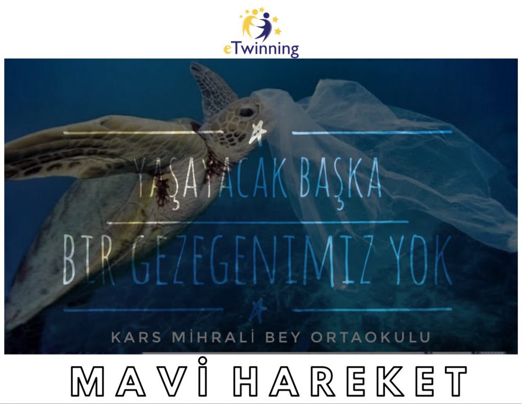 MAVİ HAREKET by HAMİYET  - Ourboox.com
