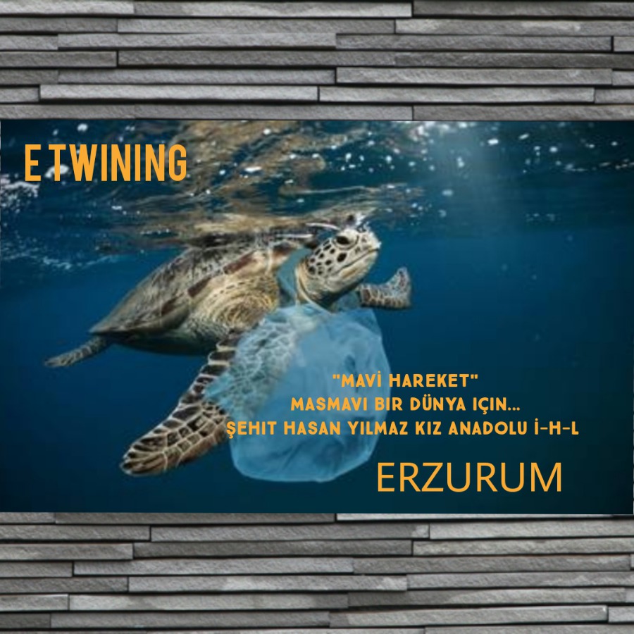 MAVİ HAREKET by HAMİYET  - Ourboox.com