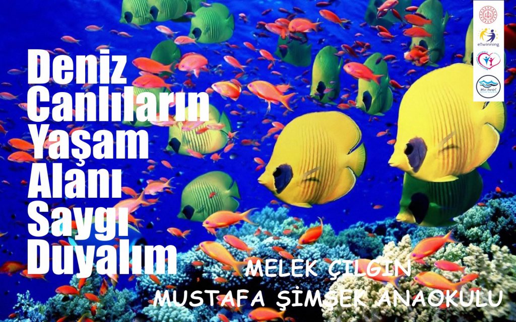 MAVİ HAREKET by HAMİYET  - Ourboox.com