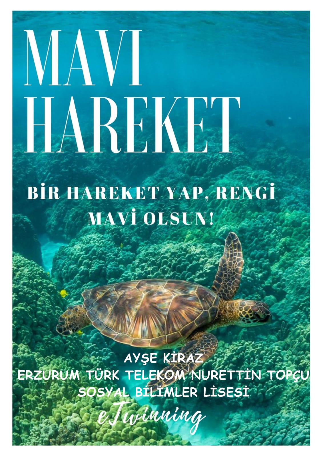 MAVİ HAREKET by HAMİYET  - Ourboox.com
