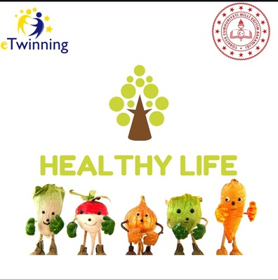 HEALTHY LIFE SURVEY RESULTS by gülsüm gürbüz - Ourboox.com