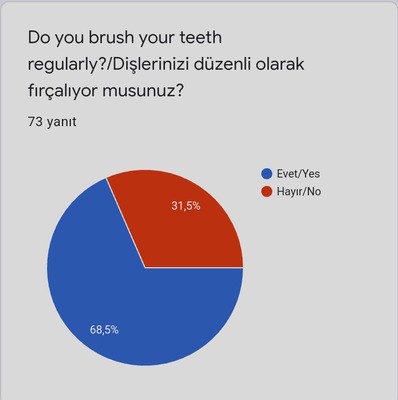 HEALTHY LIFE SURVEY RESULTS by gülsüm gürbüz - Ourboox.com