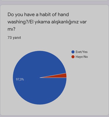 HEALTHY LIFE SURVEY RESULTS by gülsüm gürbüz - Ourboox.com