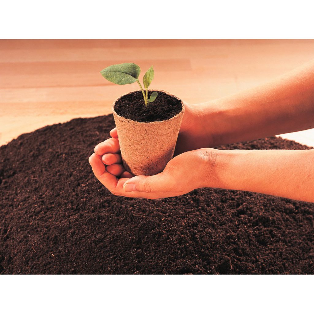 CITATIONS SUR LA VIE by Marta Chudecka - Ourboox.com