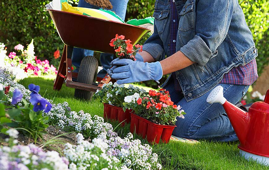 CITATIONS SUR LA VIE by Marta Chudecka - Ourboox.com