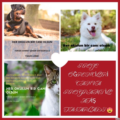 HER OKULUN BİR CANI OLSUN by fatiye - Ourboox.com