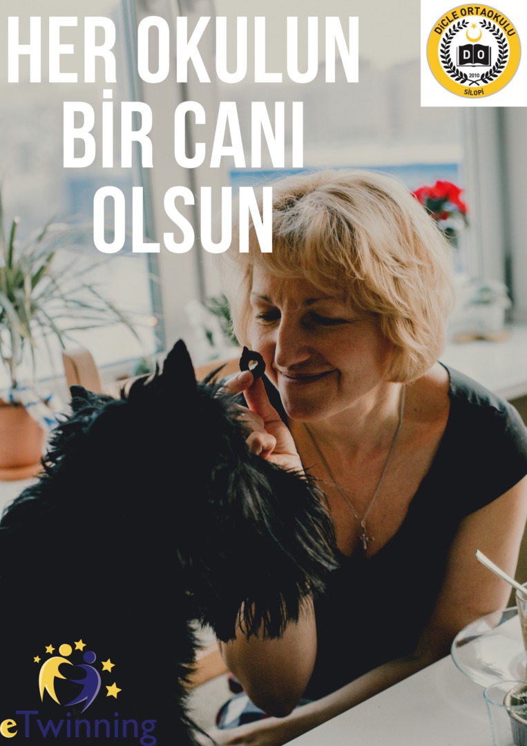 HER OKULUN BİR CANI OLSUN by fatiye - Ourboox.com