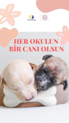 HER OKULUN BİR CANI OLSUN by fatiye - Ourboox.com
