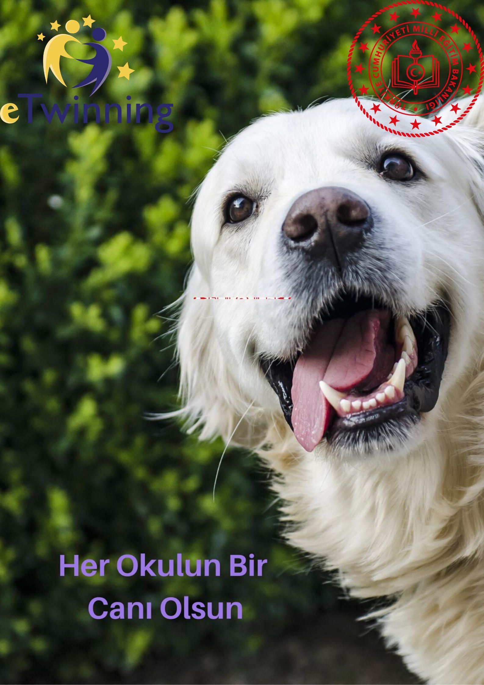 HER OKULUN BİR CANI OLSUN by fatiye - Ourboox.com