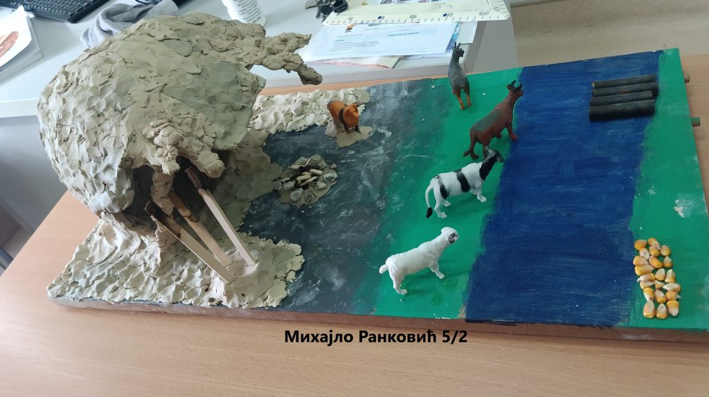 Радови ученика by danijela kuzet - Illustrated by Радови - Ourboox.com