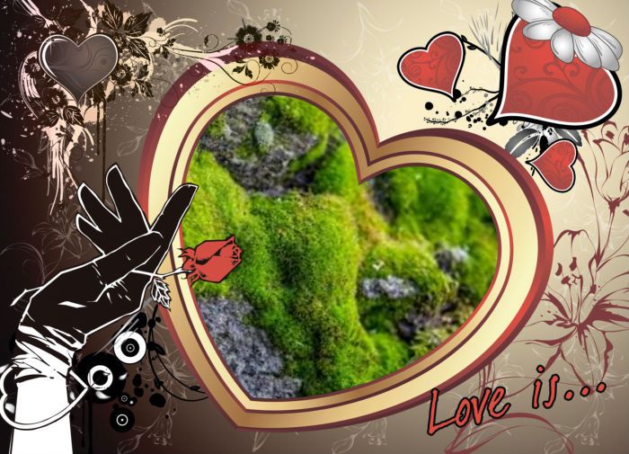 Pirmoji knyga by Jūratė - Ourboox.com