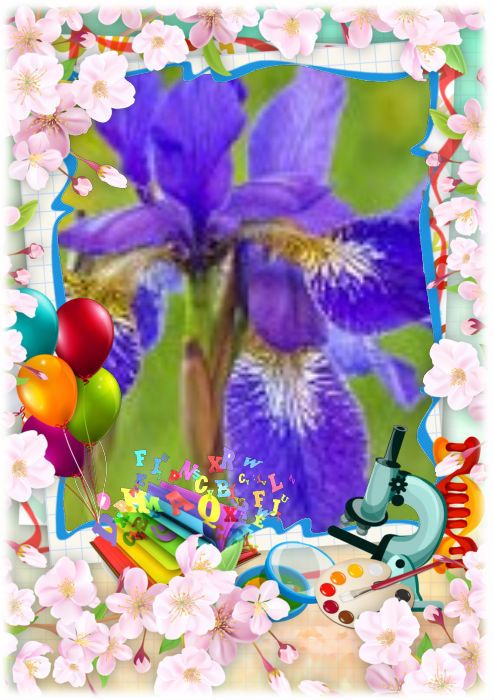 Pirmoji by Rita Grigaitiene - Ourboox.com