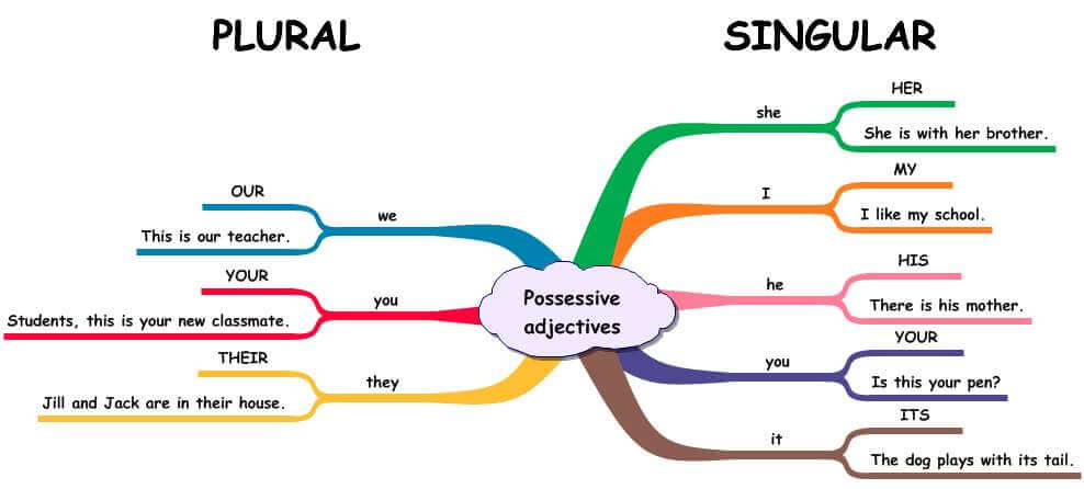 Possessive Pronouns by Dalia Egbaria - Ourboox.com