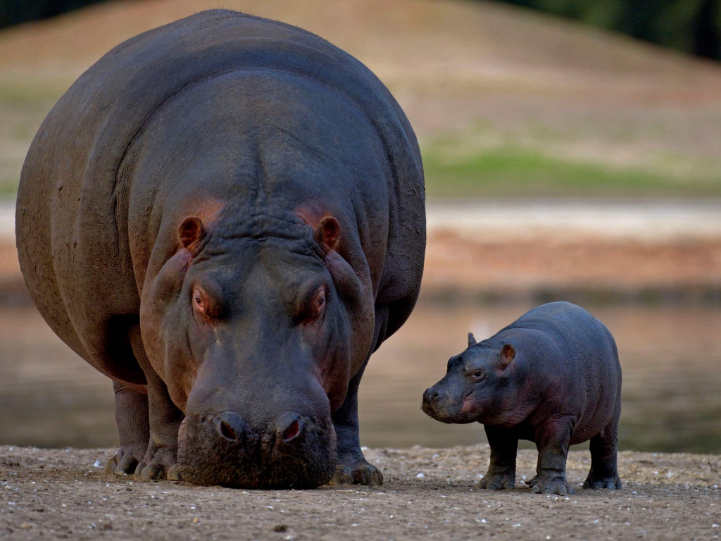 YARDEN VISIT IN GERMANY WITH DAD by CHAVI RAANAN TZVICK - Ourboox.com