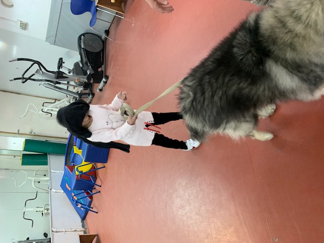 החוברת של ספיר by adi oved - Ourboox.com