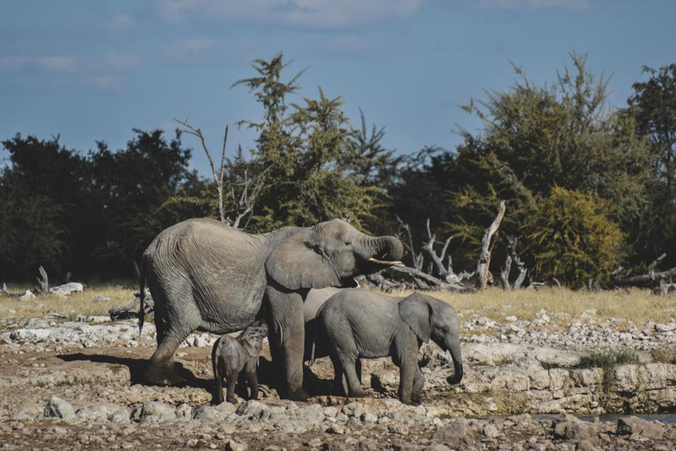 החוברת של אהובה by adi oved - Ourboox.com