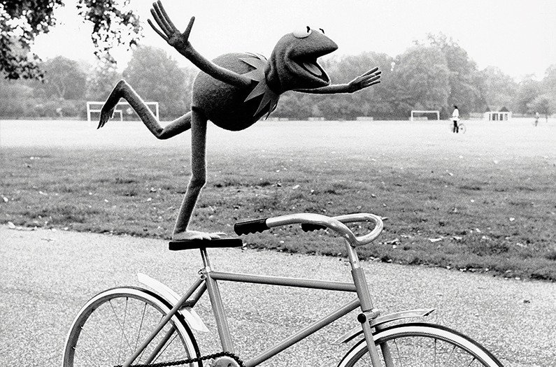 CITATIONS SUR LA VIE by Marta Chudecka - Ourboox.com