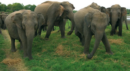 החוברת של אהובה by adi oved - Ourboox.com