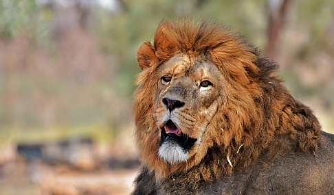 החוברת של אהובה by adi oved - Ourboox.com