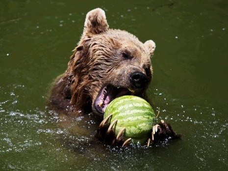 החוברת של אהובה by adi oved - Ourboox.com